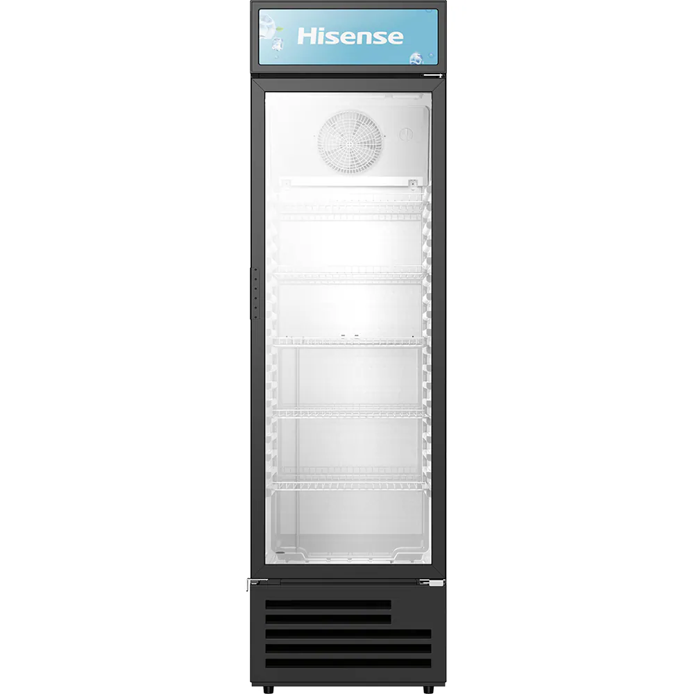 HISENSE SC-271 CPC271F7ABE RASHLADNA VITRINA
